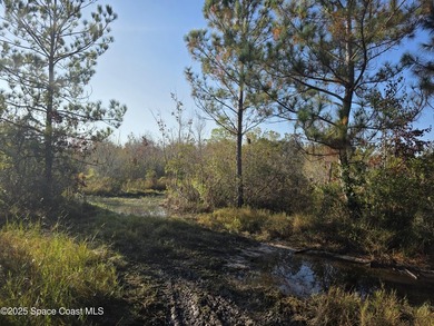 Discover a rare 52.39+/- acre development opportunity with a - photo 28