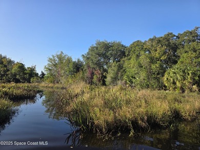 Discover a rare 52.39+/- acre development opportunity with a - photo 29