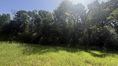 New Development inside the city limits of Heber Springs. River - photo 1