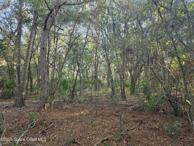 Discover a rare 52.39+/- acre development opportunity with a - photo 31