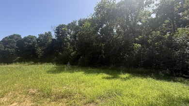 New Development inside the city limits of Heber Springs. River - photo 3