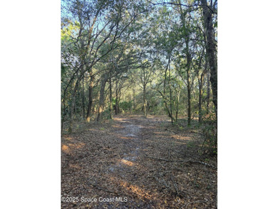 Discover a rare 52.39+/- acre development opportunity with a - photo 33