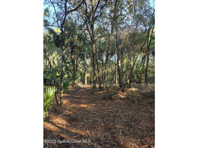 Discover a rare 52.39+/- acre development opportunity with a - photo 34