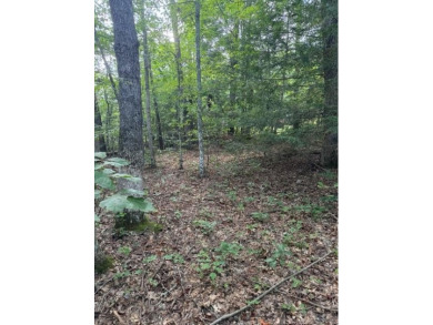 Lake Acreage For Sale in Monterey, Tennessee