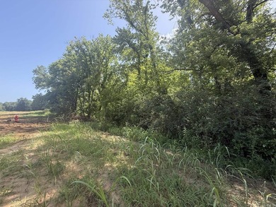 New Development inside the city limits of Heber Springs. River - photo 3
