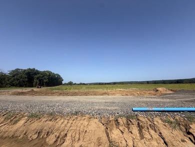 New Development inside the city limits of Heber Springs. River - photo 4
