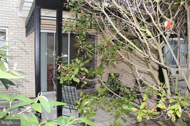 With an unbeatable location, outstanding amenities, utilities - photo 14