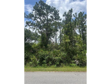 Lake Lot For Sale in Orlando, Florida