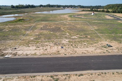 Lot 23 is a sizable lot over half an acre that sits atop a bluff - photo 2