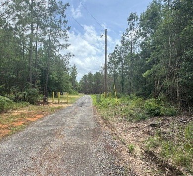 (private lake, pond, coastal) Acreage For Sale in Axis Alabama