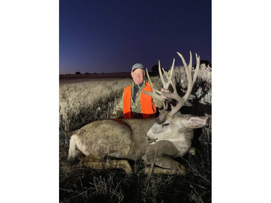 (private lake, pond, creek) Acreage For Sale in Egnar Colorado