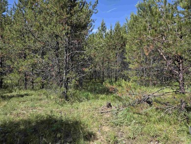 Remarkable property ready for you to camp, RV or build. 1.5 flat - photo 29