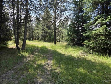 Remarkable property ready for you to camp, RV or build. 1.5 flat - photo 30
