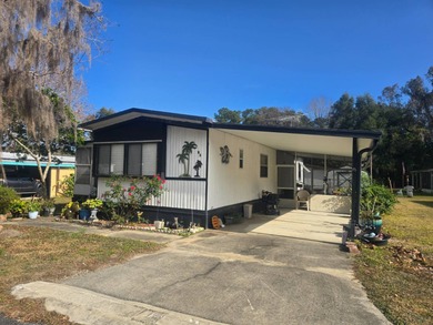 (private lake, pond, coastal) Home For Sale in Ocala Florida