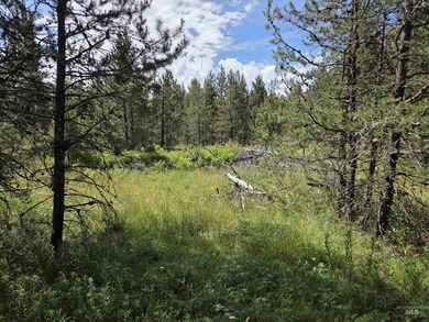 Remarkable property ready for you to camp, RV or build. 1.5 flat - photo 33