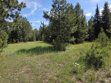 Remarkable property ready for you to camp, RV or build. 1.5 flat - photo 35