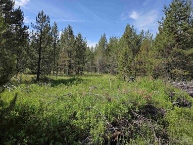 Remarkable property ready for you to camp, RV or build. 1.5 flat - photo 36