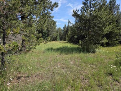Remarkable property ready for you to camp, RV or build. 1.5 flat - photo 37