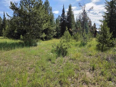 Remarkable property ready for you to camp, RV or build. 1.5 flat - photo 38