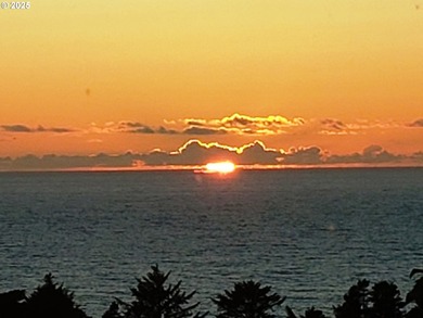 Unlimited View! 180 degrees of unobstructed Ocean View. SUNSETS - photo 2