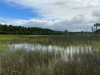 (private lake, pond, creek) Acreage For Sale in Brunswick Georgia