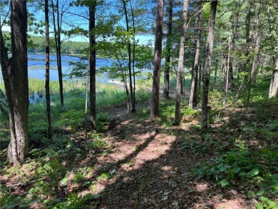 Lake Acreage For Sale in Deerwood, Minnesota