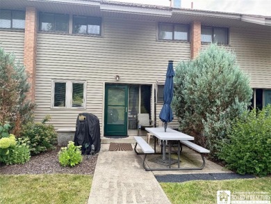 Chautauqua Lake Condo For Sale in Chautauqua New York