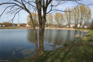 (private lake, pond, creek) Acreage For Sale in Wellington Ohio