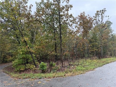 Lake Loch Lomond Home For Sale in Bella Vista Arkansas