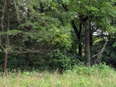 Great building lot in Leesville Lake waterfront community - photo 2