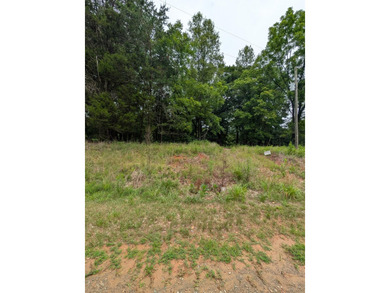 Great building lot in Leesville Lake waterfront community - photo 3