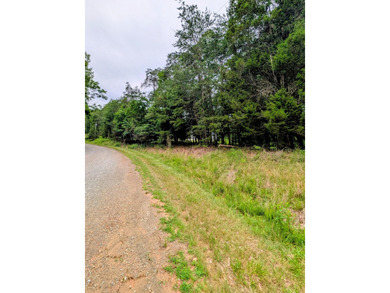 Great building lot in Leesville Lake waterfront community - photo 4