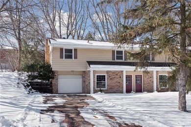 Lake Minnetonka Home For Sale in Shorewood Minnesota