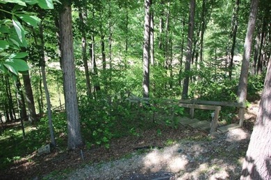 LAKE FRONT POINT LOT=LAKE ON 3 SIDES & OPEN TO MAIN CHANNEL TO - photo 11