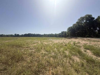 New Development inside the city limits of Heber Springs. River - photo 3