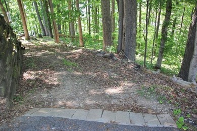 LAKE FRONT POINT LOT=LAKE ON 3 SIDES & OPEN TO MAIN CHANNEL TO - photo 16
