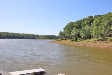 LAKE FRONT POINT LOT=LAKE ON 3 SIDES & OPEN TO MAIN CHANNEL TO - photo 19