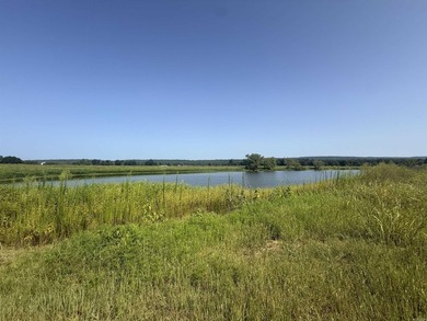 New Development inside the city limits of Heber Springs. River - photo 2