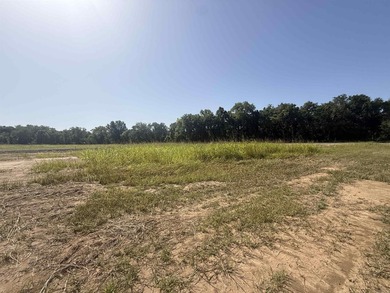 New Development inside the city limits of Heber Springs. River - photo 5