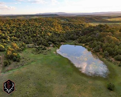 (private lake, pond, creek) Acreage For Sale in Cebolla New Mexico