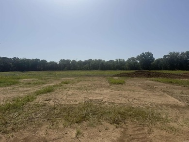 New Development inside the city limits of Heber Springs. River - photo 6