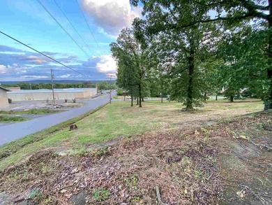 Lake Hamilton Commercial For Sale in Hot Springs Arkansas