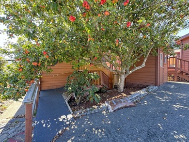 PRICE REDUCED $15,000! Large Ocean-View Home at Whaleshead Beach - photo 45