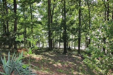 LAKE FRONT POINT LOT=LAKE ON 3 SIDES & OPEN TO MAIN CHANNEL TO - photo 49