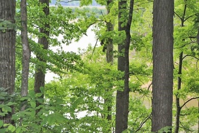 LAKE FRONT POINT LOT=LAKE ON 3 SIDES & OPEN TO MAIN CHANNEL TO - photo 53