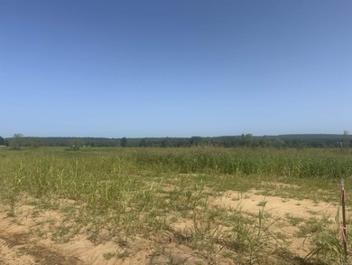 New Development inside the city limits of Heber Springs. River - photo 4