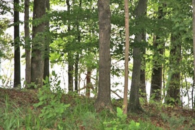 LAKE FRONT POINT LOT=LAKE ON 3 SIDES & OPEN TO MAIN CHANNEL TO - photo 55