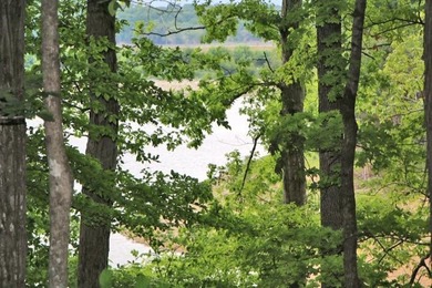 LAKE FRONT POINT LOT=LAKE ON 3 SIDES & OPEN TO MAIN CHANNEL TO - photo 57