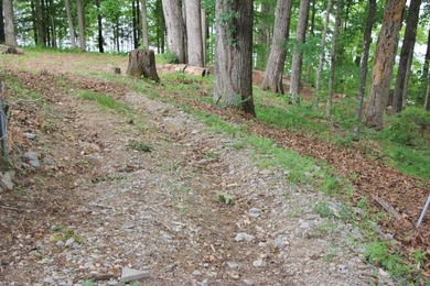 LAKE FRONT POINT LOT=LAKE ON 3 SIDES & OPEN TO MAIN CHANNEL TO - photo 58