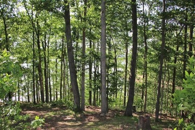 LAKE FRONT POINT LOT=LAKE ON 3 SIDES & OPEN TO MAIN CHANNEL TO - photo 59